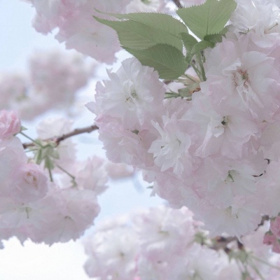 Furry绘画原创技巧Furry群